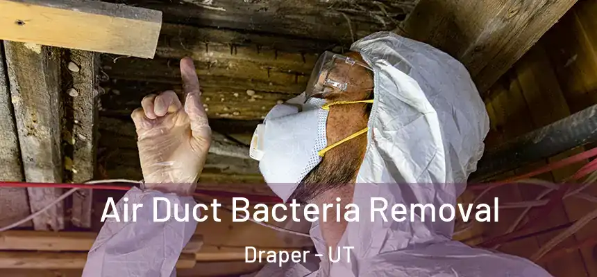  Air Duct Bacteria Removal Draper - UT