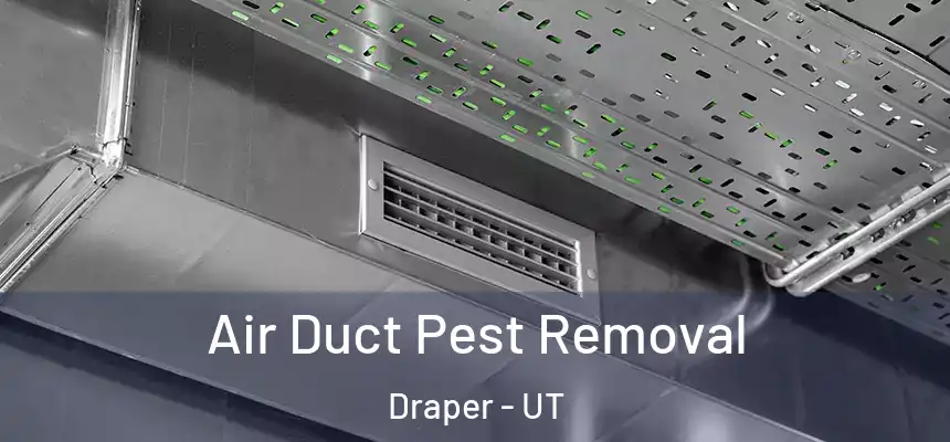  Air Duct Pest Removal Draper - UT