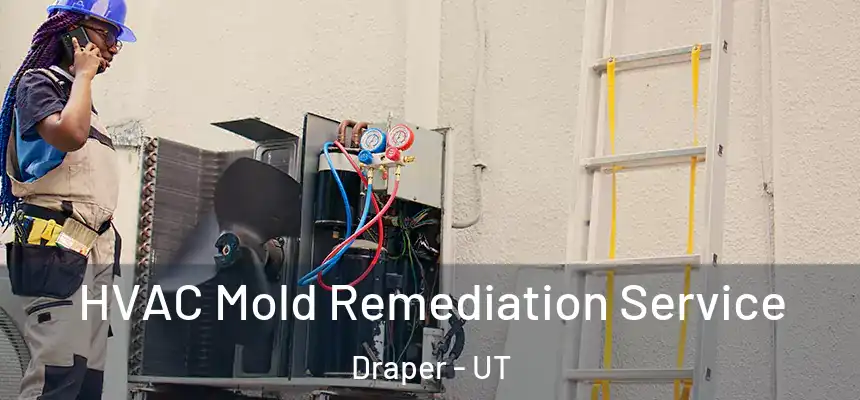  HVAC Mold Remediation Service Draper - UT