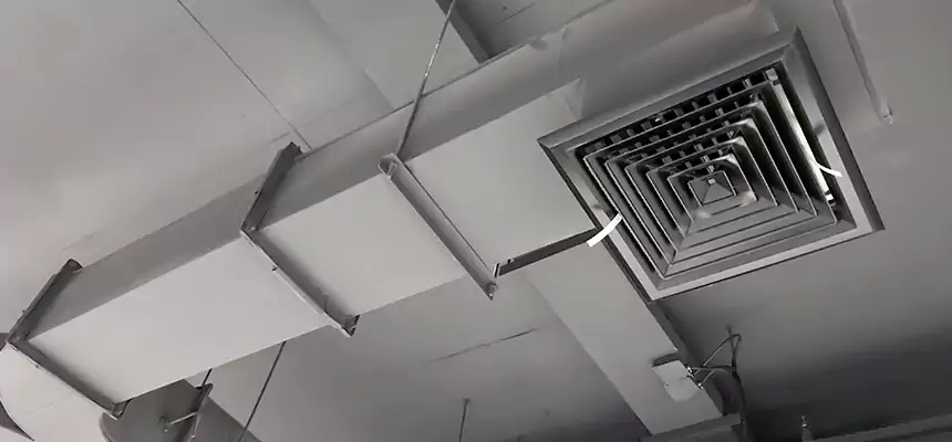 Restorative Allergy Relief Vent Cleaning – Coil, Blower & Housing Detail in Draper