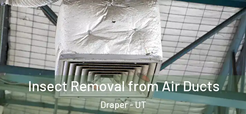  Insect Removal from Air Ducts Draper - UT