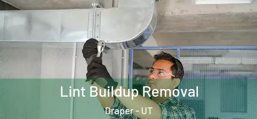  Lint Buildup Removal Draper - UT