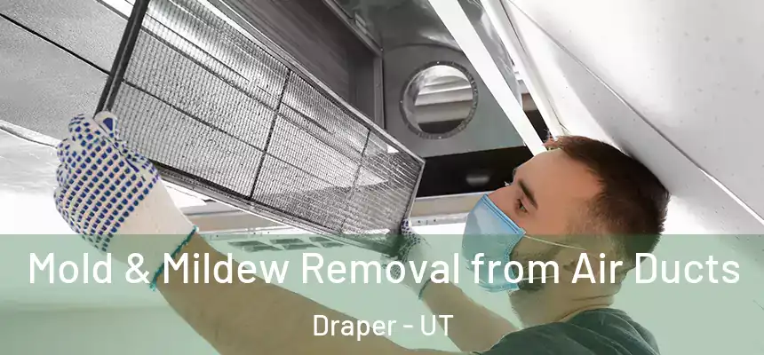 Mold & Mildew Removal from Air Ducts Draper - UT
