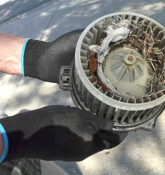 About Air Duct Mice Removal in Draper, UT