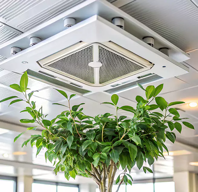 Why Homeowners & Businesses Trust Us in Draper, UT?