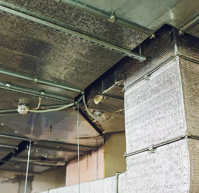 Why Homeowners & Businesses Trust Us in Draper, UT?